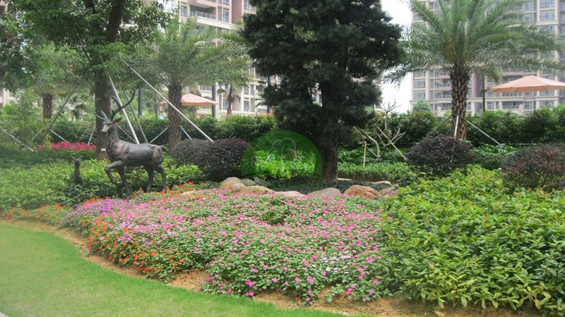 绿化资质与市政资质：共筑绿色城市基石**
