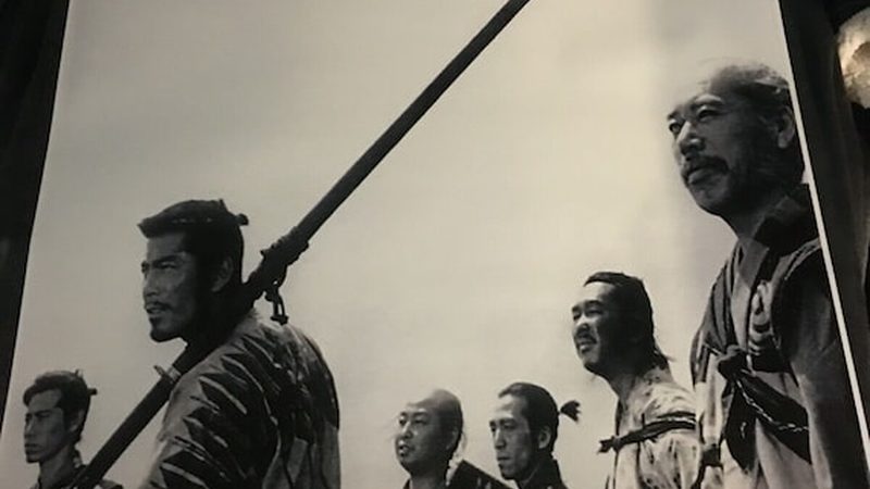 办公楼垂直绿化：如何选择合适的植物搭配**