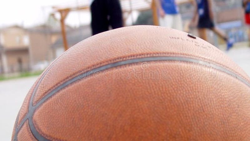 小区绿化景观设计：从规划到实施的五大关键步骤**