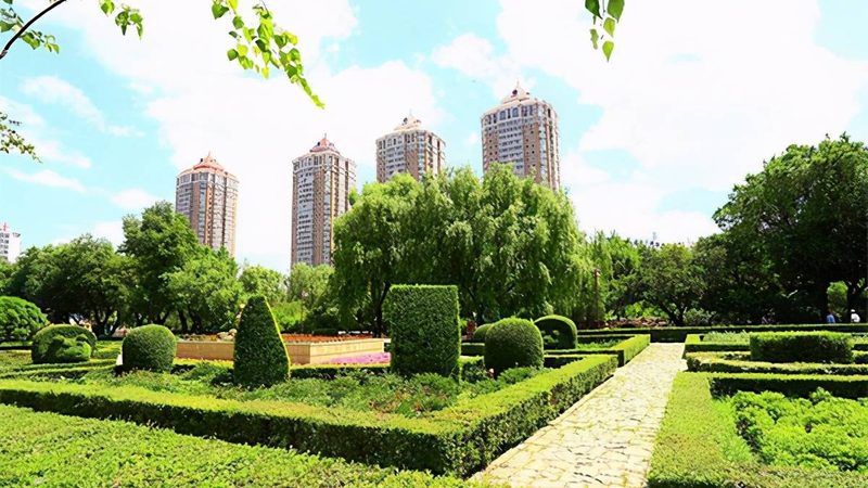 广州草坪养护公司排名：揭秘优质养护的关键要素