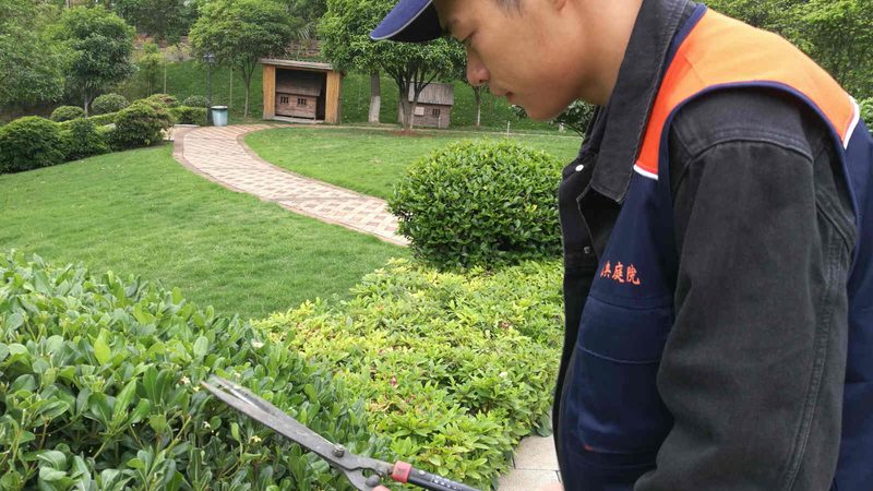 北京花卉租摆：如何选择专业服务商**