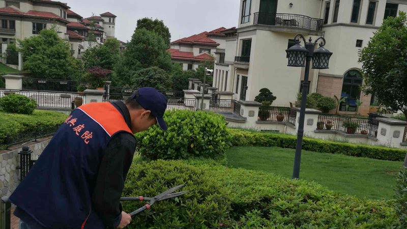 商场绿植租赁，年收费如何计算？**
