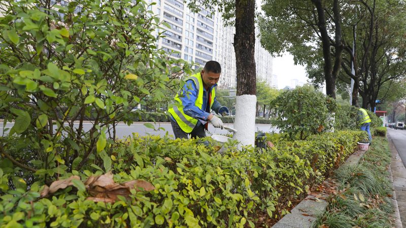 商业空间植物墙：打造绿色空间的秘密武器